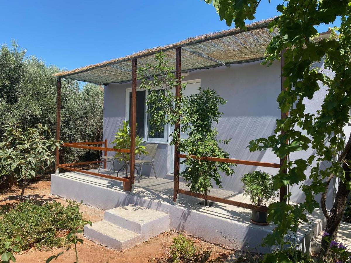 Vine Veranda Palaiochora Exterior foto